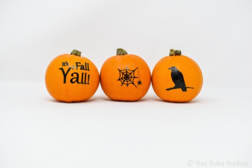 Pumpkin Patch Pals Silhouette Painted Pumpkin Perspective: front