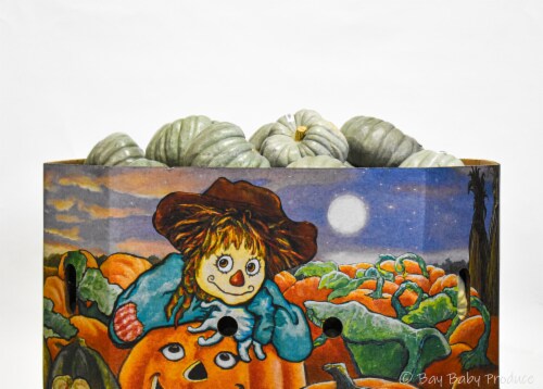 BBP Blue Doll Ornamental Pumpkin Perspective: front