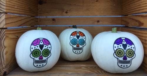 Pumpkin Patch Pals White Skull Pie Pumpkin Perspective: front