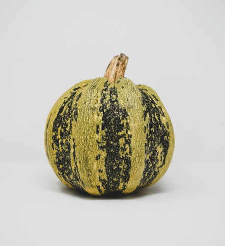 Pumpkin Patch Pals American Tondo Pumpkin Perspective: front