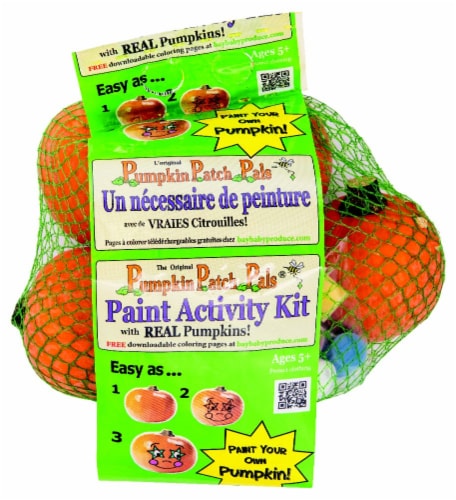 Pumpkin Patch Pals Paint Activity Kit Perspective: front