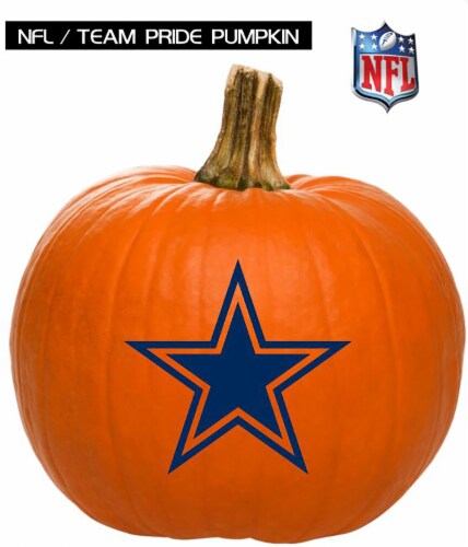 Pumpkin Patch Pals Dallas Cowboys Painted Pumpkin - Each Perspective: front