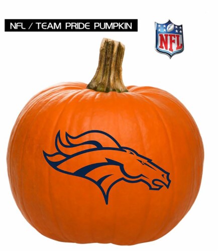 Pumpkin Patch Pals Denver Broncos Painted Pumpkin - Each Perspective: front