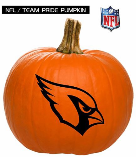 Pumpkin Patch Pals Arizona Cardinals Painted Pumpkin - Each Perspective: front