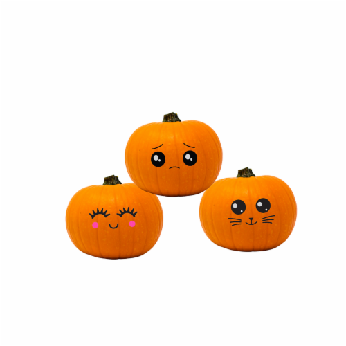 Emo-Kin Painted Pie Pumpkin Perspective: front