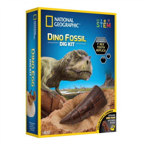 National Geographic™ Dino Fossil Dig Kit Perspective: front