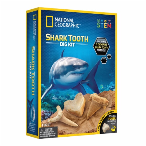 National Geographic Shark Tooth Dig Kit Perspective: front