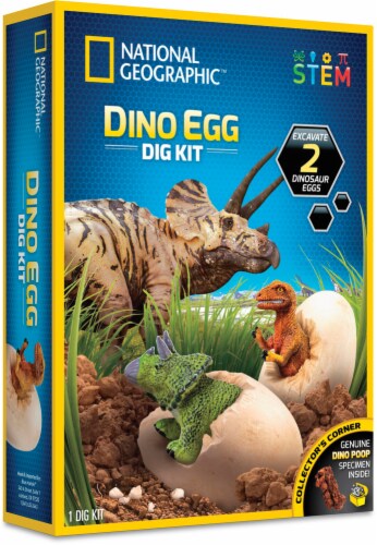 National Geographic™ Dino Egg Dig Kit Perspective: front