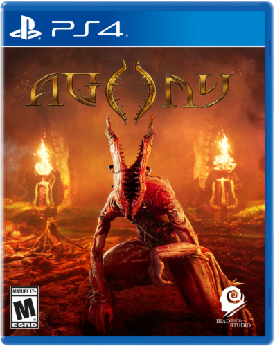Agony (PlayStation 4) Perspective: front