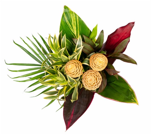 Cold Resistant Tropical ECB Bouquet Perspective: front