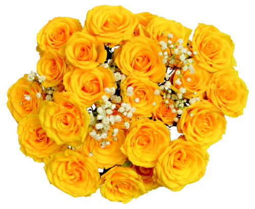 Roses Bubbly Bunch Perspective: front