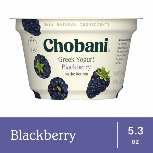 Chobani® Non-Fat Blackberry on the Bottom Greek Yogurt Perspective: front