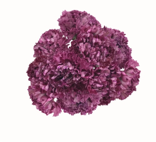 Assorted Carnation Bunch Perspective: front