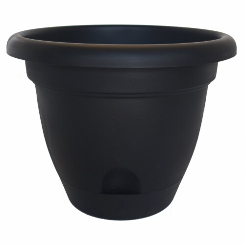 Bloem Lucca 7 in. H X 9 in. D Resin Planter Black
