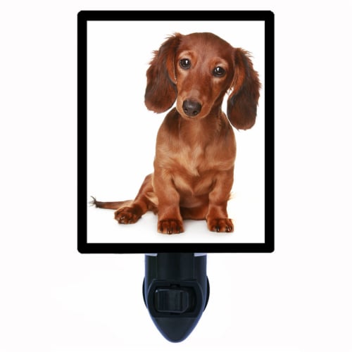 Dachshund night light discount