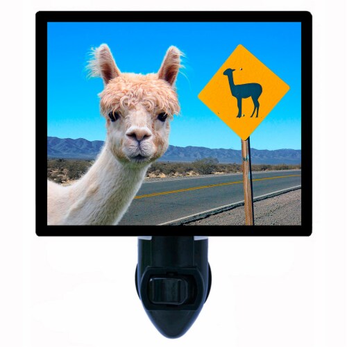 Llama Decorative Photo Night Light. Free Switchable Insert. Llama Crossing Perspective: front