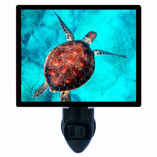 Sea Turtle Photo Night Light. Free Switchable Insert. Night Lights. Beautiful Sea Turtle 1 Fred Meyer