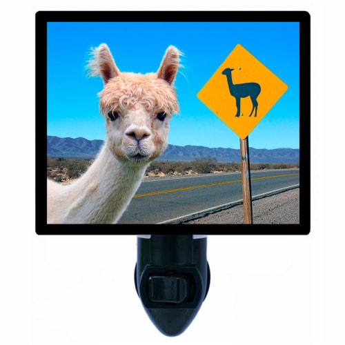 Alpaca night light new arrivals