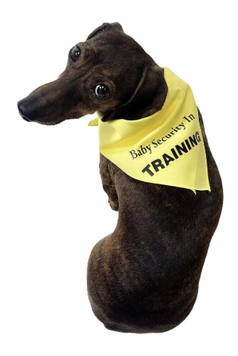 Midlee Baby Security Dog Bandana Large 1 King Soopers