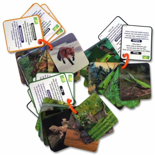Smart Play Animal Planet 3D Creatures Flash Cards Set, 1 - Ralphs