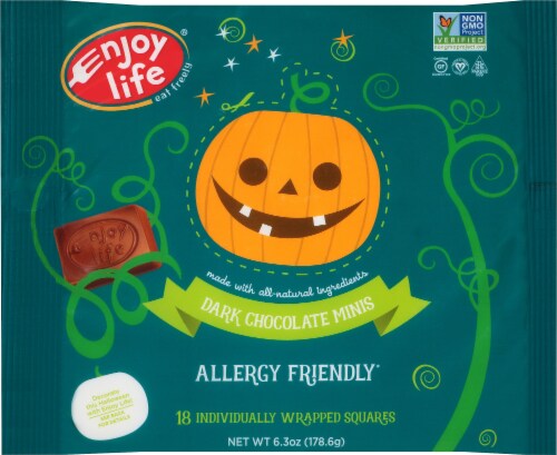 Enjoy Life® Allergy-Friendly Dark Chocolate Mini Squares Perspective: front