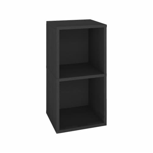 Way Basics 29.1 H x 15 W Eco 2 Shelf Modern Cube Storage and Vinyl