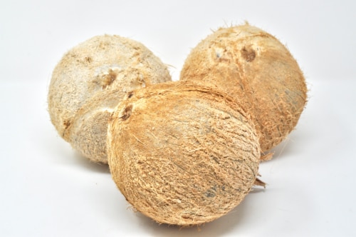 Latin Speialties Dry Coconut Perspective: front