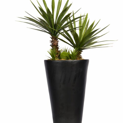 Laura Ashley Agave with Succlents in Resin Planter Perspective: front