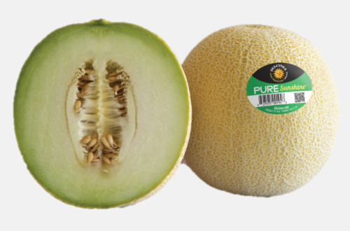 Pure Perfection Melon Perspective: front