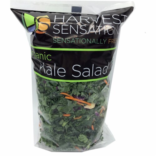 Harvest Sensations Organic Kale Salad Perspective: front
