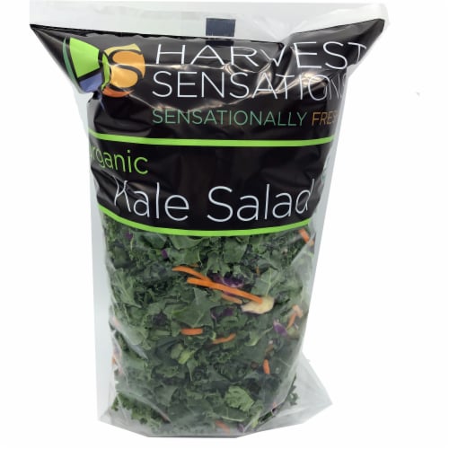Harvest Sensations Organic Kale Salad Perspective: front