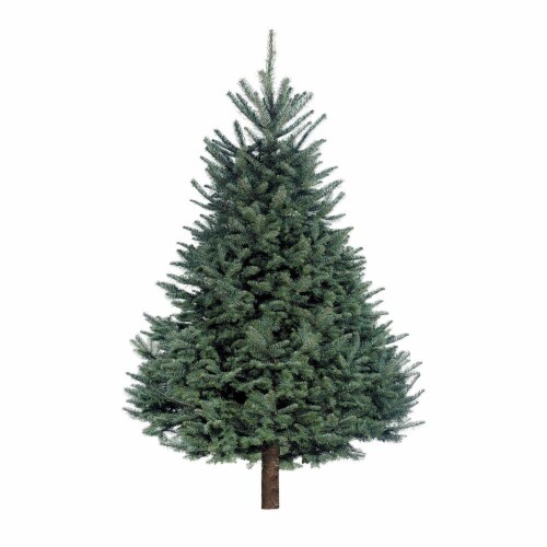 Noble FIR Christmas Tree Perspective: front