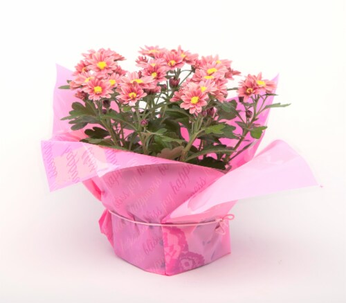 4.5 Inch Fleurettes Perspective: front