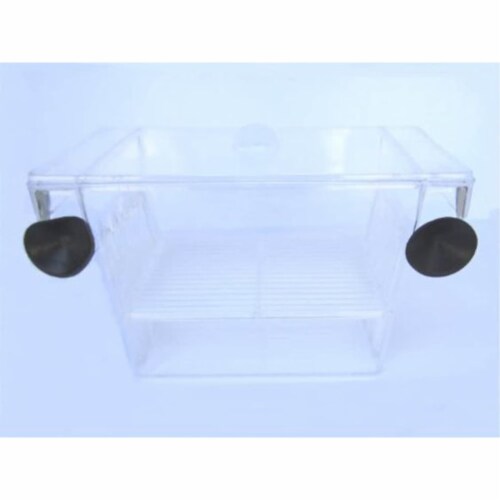 H001 Brand New Fish hatchery Tank Size 5L"x2.75W"x2.75H" Perspective: front