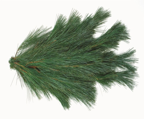 Holiday Fresh White Pine Bunch Perspective: front