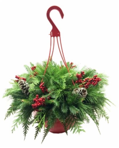 Holiday Fresh Hanging Basket With Greens Perspective: front