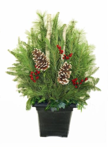 Holiday Porch Planter with Greens and Pine Cones Perspective: front