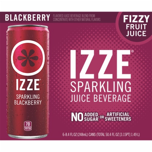 IZZE No Sugar Added Blackberry Sparkling Juice Beverage Blend Perspective: front