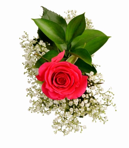 Single Stem Roses Perspective: front