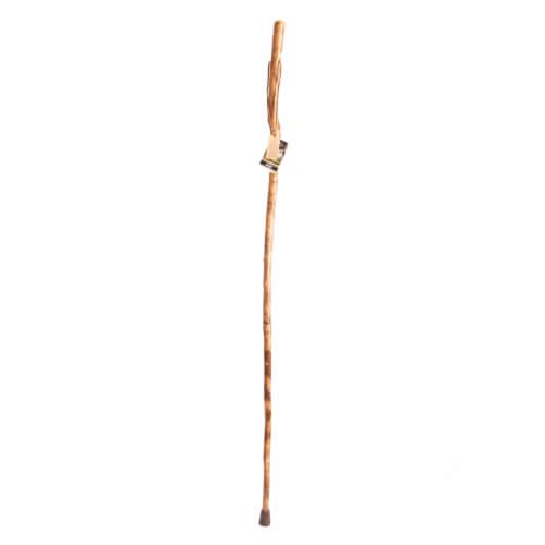Brazos Walking Sticks American Hardwood Walking Stick Perspective: front