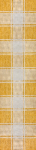 Sabine Traditional Farmhouse Bold Gingham Indoor/Outdoor Area Rug Perspective: front