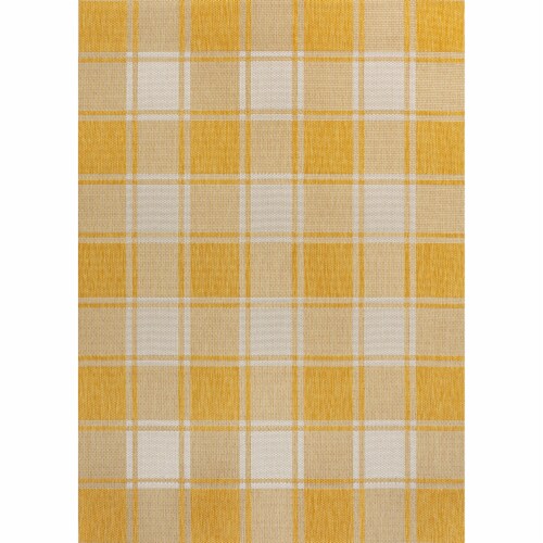 Sabine Traditional Farmhouse Bold Gingham Indoor/Outdoor Area Rug Perspective: front