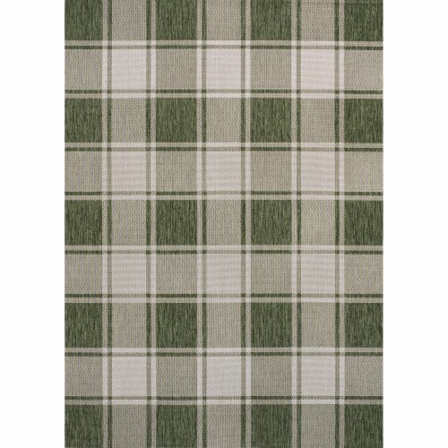 Sabine Traditional Farmhouse Bold Gingham Indoor/Outdoor Area Rug Perspective: front