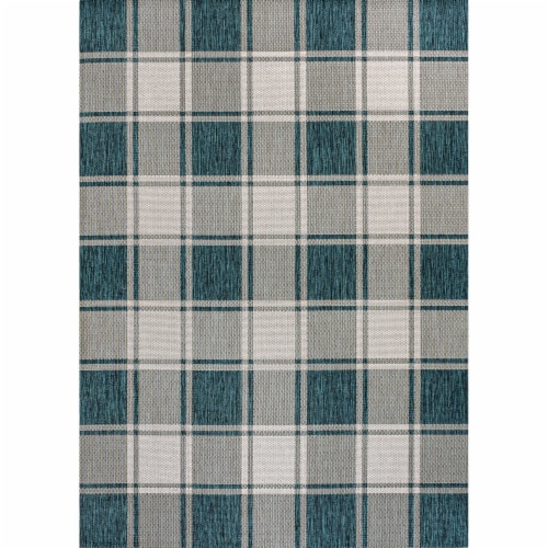 Sabine Traditional Farmhouse Bold Gingham Indoor/Outdoor Area Rug Perspective: front