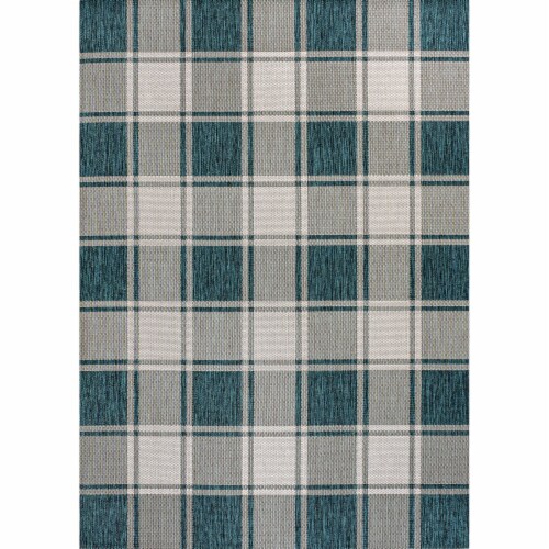 Sabine Traditional Farmhouse Bold Gingham Indoor/Outdoor Area Rug Perspective: front