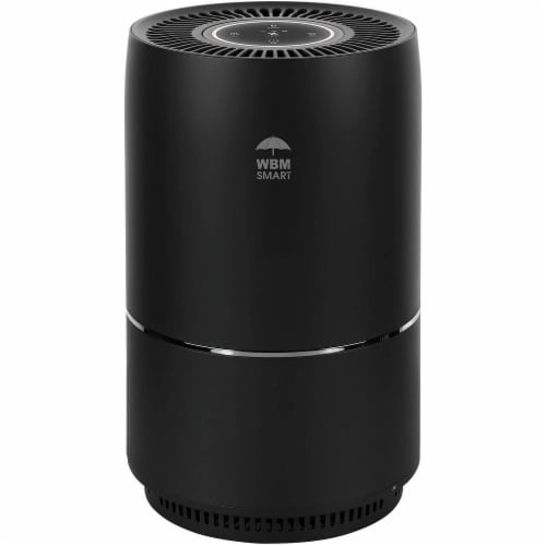 Air purifier home deals hardware