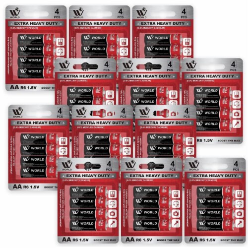 WBM World AA Carbon Zinc Cells, All-Purpose for Household and Business, Pack of 12 (48 Count) Perspective: front