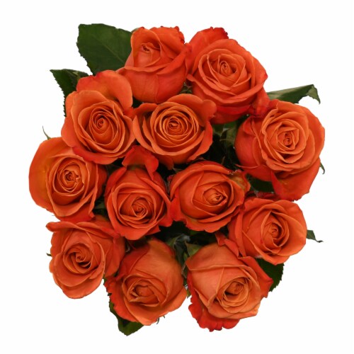Gafa Rose Bouquet Perspective: front