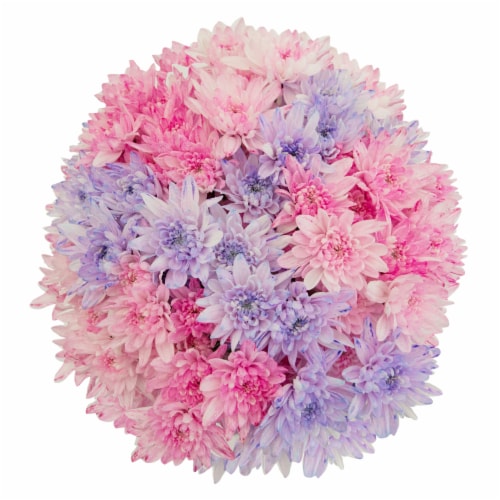 Mother's Day Shimmer Poms Fresh Flower Bouquet Perspective: front