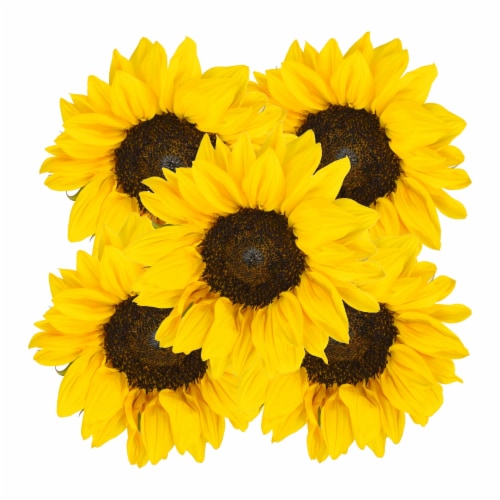 Galleria Farms Sunflowers Perspective: front